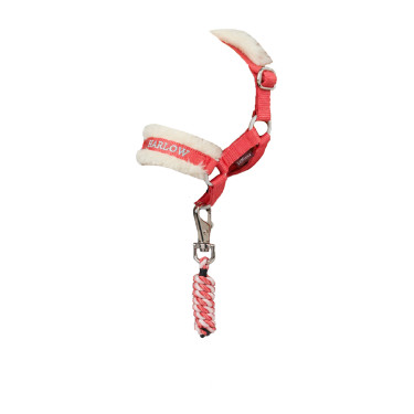 Speelgoed pony halster + longe Harlow Coral Crush | Ruitersport Speelgoed pony halster + longe Harlow Coral Crush | Ruitersport