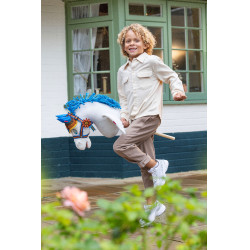 Hobby horse accessoires Disney Pegasus | Ruitersport