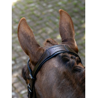 Arika Split Neusriem Hoofdstel LeMieux
