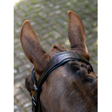 Arika Split Neusriem Hoofdstel LeMieux Arika Split Neusriem Hoofdstel LeMieux
