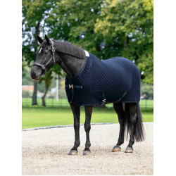 Arika Clima-Tek Rug LeMieux