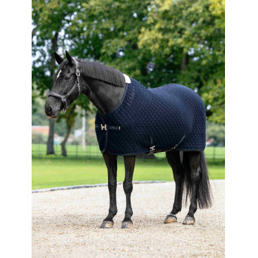 Arika Clima-Tek Rug LeMieux