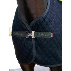 Arika Clima-Tek Rug LeMieux