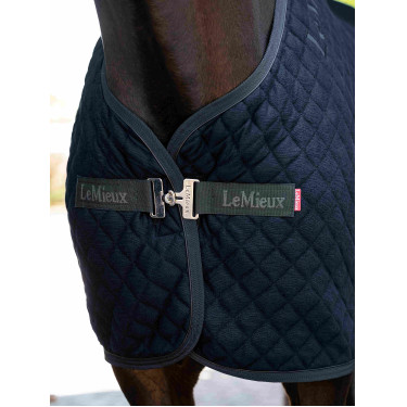 Arika Clima-Tek Rug LeMieux