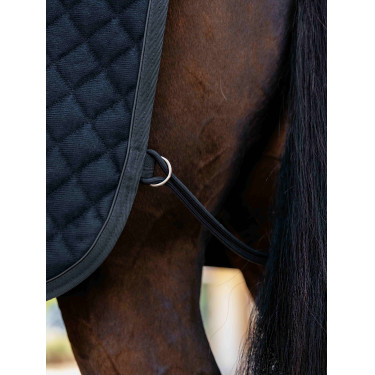 Arika Clima-Tek Rug LeMieux