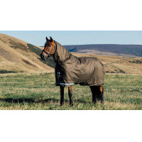 Waterdichte deken LeMieux Arika Ripstop 100g Alpine Bruin