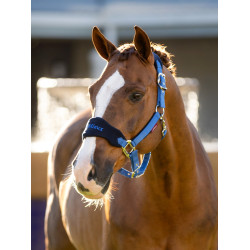 Halster en leadrope LeMieux Vogue Esme Benetton Blauw