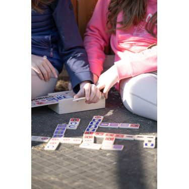 Domino HKM