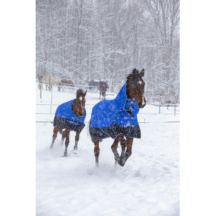 Equithème Tyrex 1200D Aisance High Neck deken Equithème Tyrex 1200D Aisance High Neck deken