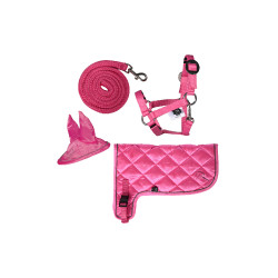 Neonset HKM Hobby Horse Roze