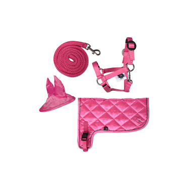 Neonset HKM Hobby Horse Roze