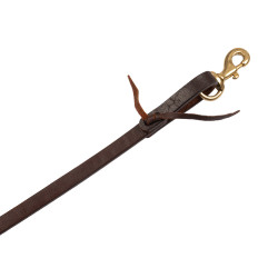 Western teugels Pool's 5/8" Geolied Bruin