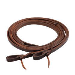 Gescheiden teugels Pool’s 5/8" Geolied Bruin