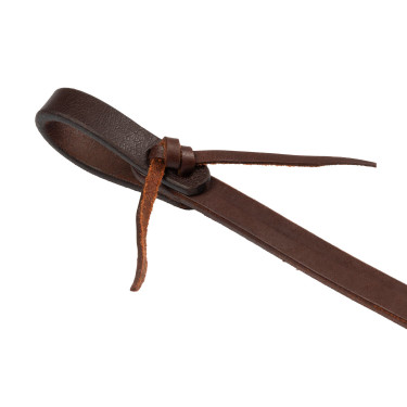 Gescheiden teugels Pool’s 5/8" Geolied Bruin