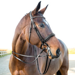 Bruid Weymouth Wenen Horze Bruid Weymouth Wenen Horze