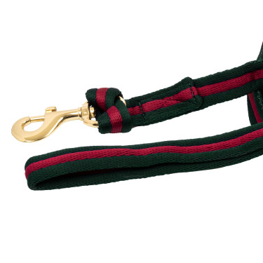 Nylon longeerlijn met voering, bevestigbaar aan het halster Umbria Equitazione Jachtgroen / bordeaux Nylon longeerlijn met voering, bevestigbaar aan het halster Umbria Equitazione Jachtgroen / bordeaux