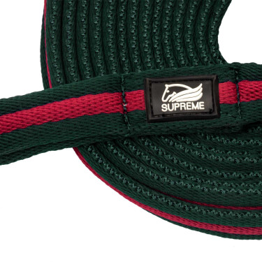 Nylon longeerlijn met voering, bevestigbaar aan het halster Umbria Equitazione Jachtgroen / bordeaux Nylon longeerlijn met voering, bevestigbaar aan het halster Umbria Equitazione Jachtgroen / bordeaux