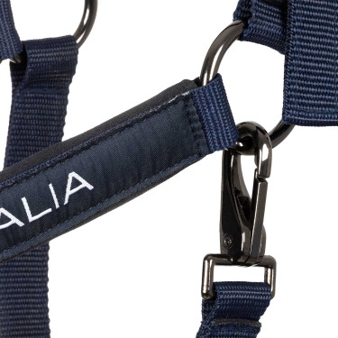 Equestro x FISE halsters, gevoerd en verstelbaar Marineblazer Marineblauw