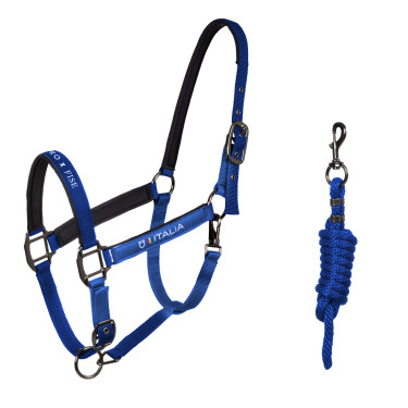 Equestro x FISE halsters, gevoerd en verstelbaar Blauw van Savoye