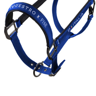 Equestro x FISE halsters, gevoerd en verstelbaar Blauw van Savoye