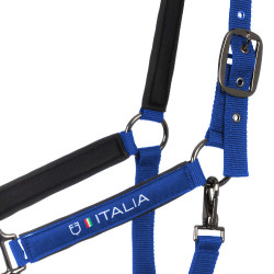 Equestro x FISE halsters, gevoerd en verstelbaar Blauw van Savoye