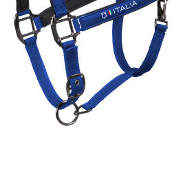 Equestro x FISE halsters, gevoerd en verstelbaar Blauw van Savoye