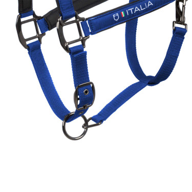 Equestro x FISE halsters, gevoerd en verstelbaar Blauw van Savoye