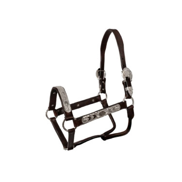 Lederen halster Pool’s ELHT/00935 Bruin