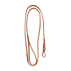 Equestro leidlijn met messing ketting — paardrijden