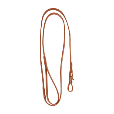 Equestro leidlijn met messing ketting — paardrijden