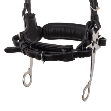 Hackamore-hoofdstel Supreme Zwart