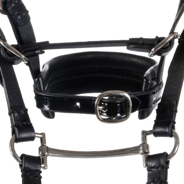 Leren hoofdstel Equestro voor speelgoedpaard met zilverkleurige studs Zwart