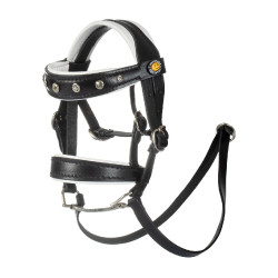 Leren Equestro-hoofdstel met strass voor speelgoedpaard Zwart
