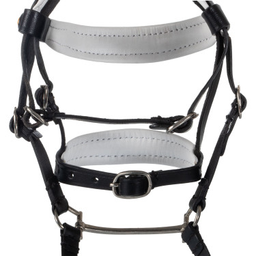 Leren Equestro-hoofdstel met strass voor speelgoedpaard Zwart