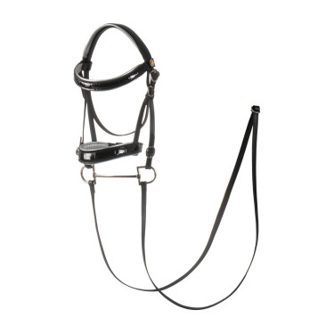 Glanzend leren hoofdstel voor hobby horse Equestro Zwart