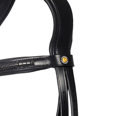 Engels trenshoofdstel Equestro zwart in leer Zwart