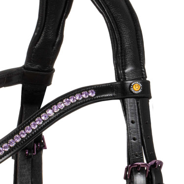 Anatomisch hoofdstel Equestro van leer Zwart