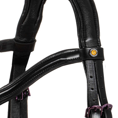 Anatomisch hoofdstel Equestro van leer Zwart