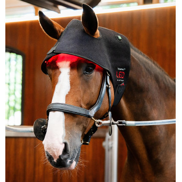 Roodlicht-LED-therapiebont Horseware Zwart / zwart