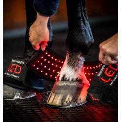 Mini therapeutische beenbeschermer van Horseware met rood LED-licht Zwart / zwart