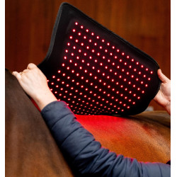 Horseware LED-lichttherapiedeken Zwart / zwart Horseware LED-lichttherapiedeken Zwart / zwart
