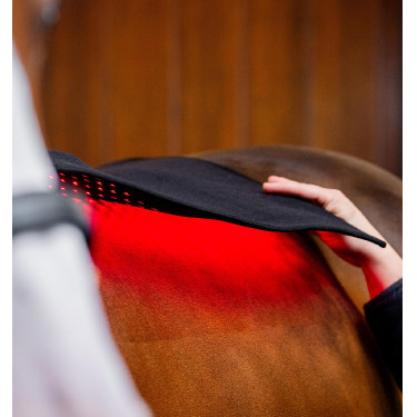 Horseware LED-lichttherapiedeken Zwart / zwart Horseware LED-lichttherapiedeken Zwart / zwart