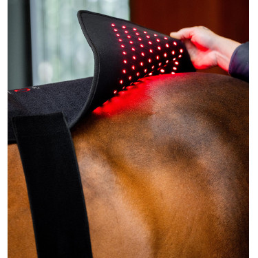 Horseware LED-lichttherapiedeken Zwart / zwart Horseware LED-lichttherapiedeken Zwart / zwart