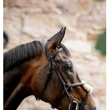Grackle hoofdstel in 8-vorm Horseware gekruiste neusriem Bruin