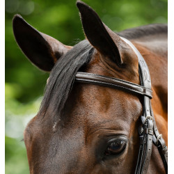 Grackle hoofdstel in 8-vorm Horseware gekruiste neusriem Bruin