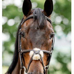 Grackle hoofdstel in 8-vorm Horseware gekruiste neusriem Bruin