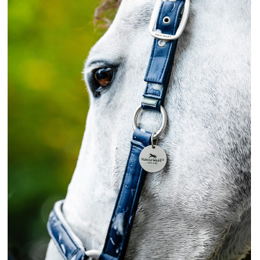 Horseware poetshalster Marine Marineblauw Horseware poetshalster Marine Marineblauw