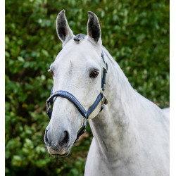 Horseware poetshalster Marine Marineblauw Horseware poetshalster Marine Marineblauw