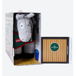 Pony Crafty Ponies paardrijkleding en -uitrusting Grijs