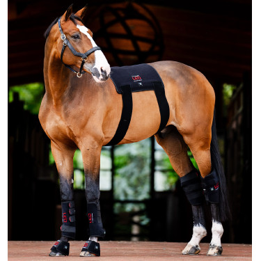 Horseware therapeutische peesbeschermers met rood LED-licht Zwart / zwart